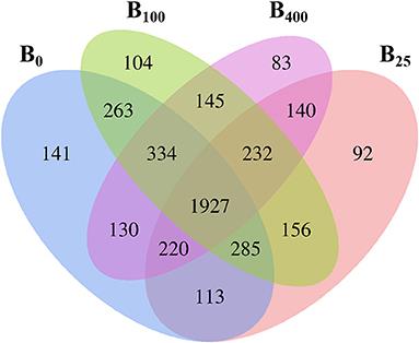 A Comparison of Production Performance, Egg Quality, and Cecal Microbiota in Laying Hens Receiving Graded Levels of Vitamin B12